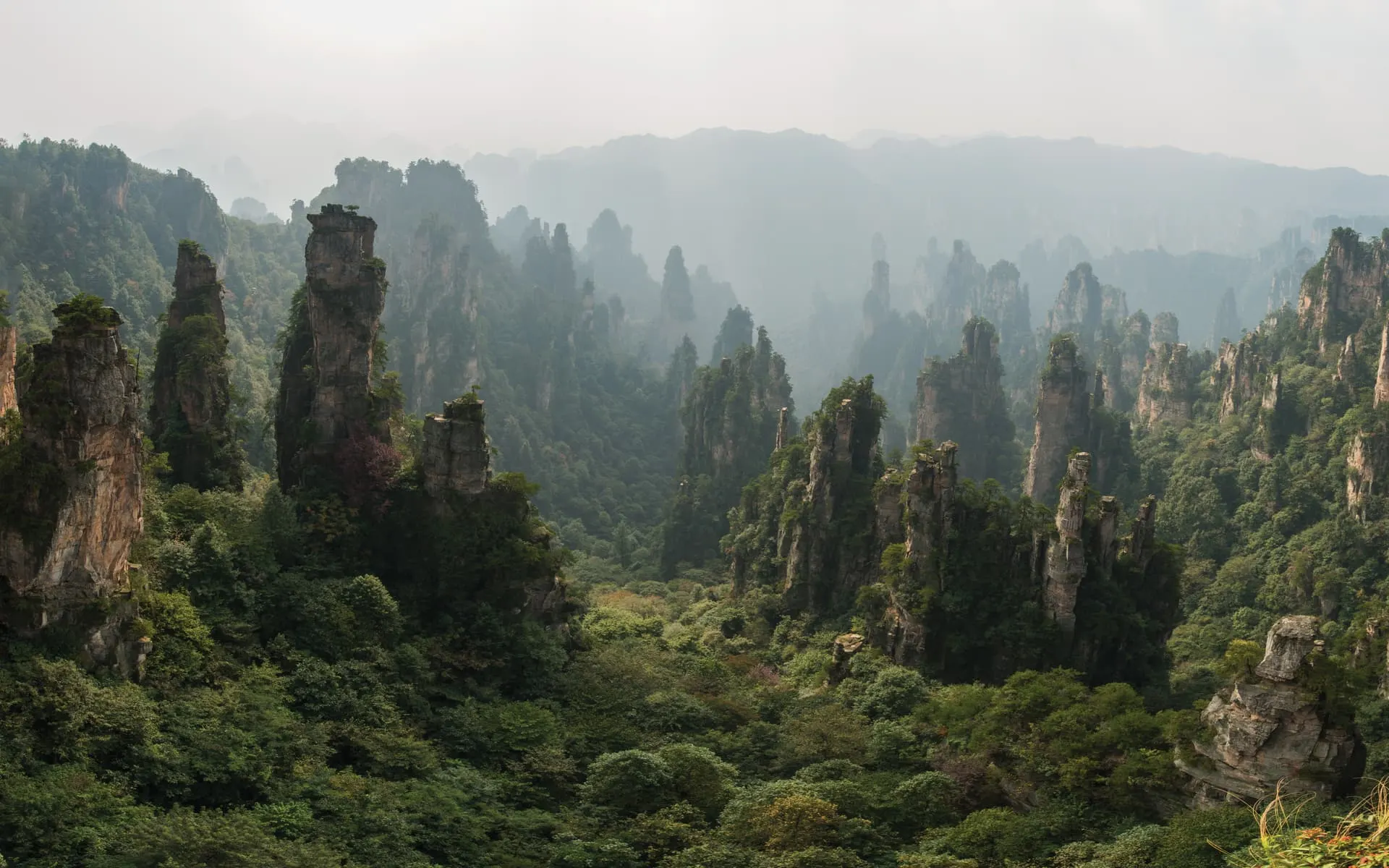 Sandstone spire forest rising through Zhangjiajie National Forest Park