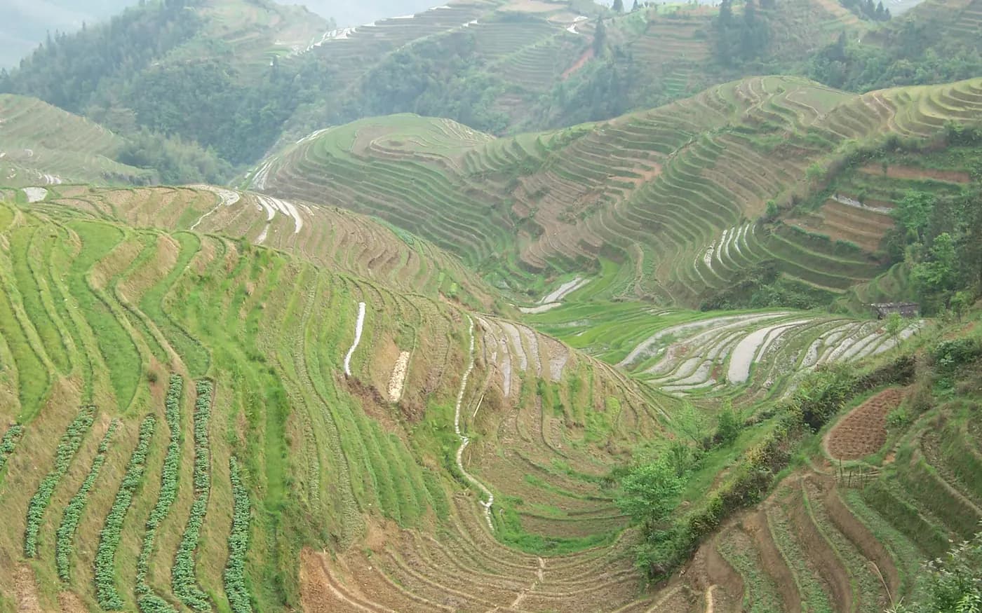 Longsheng rice terraces for a family soft-adventure China journey