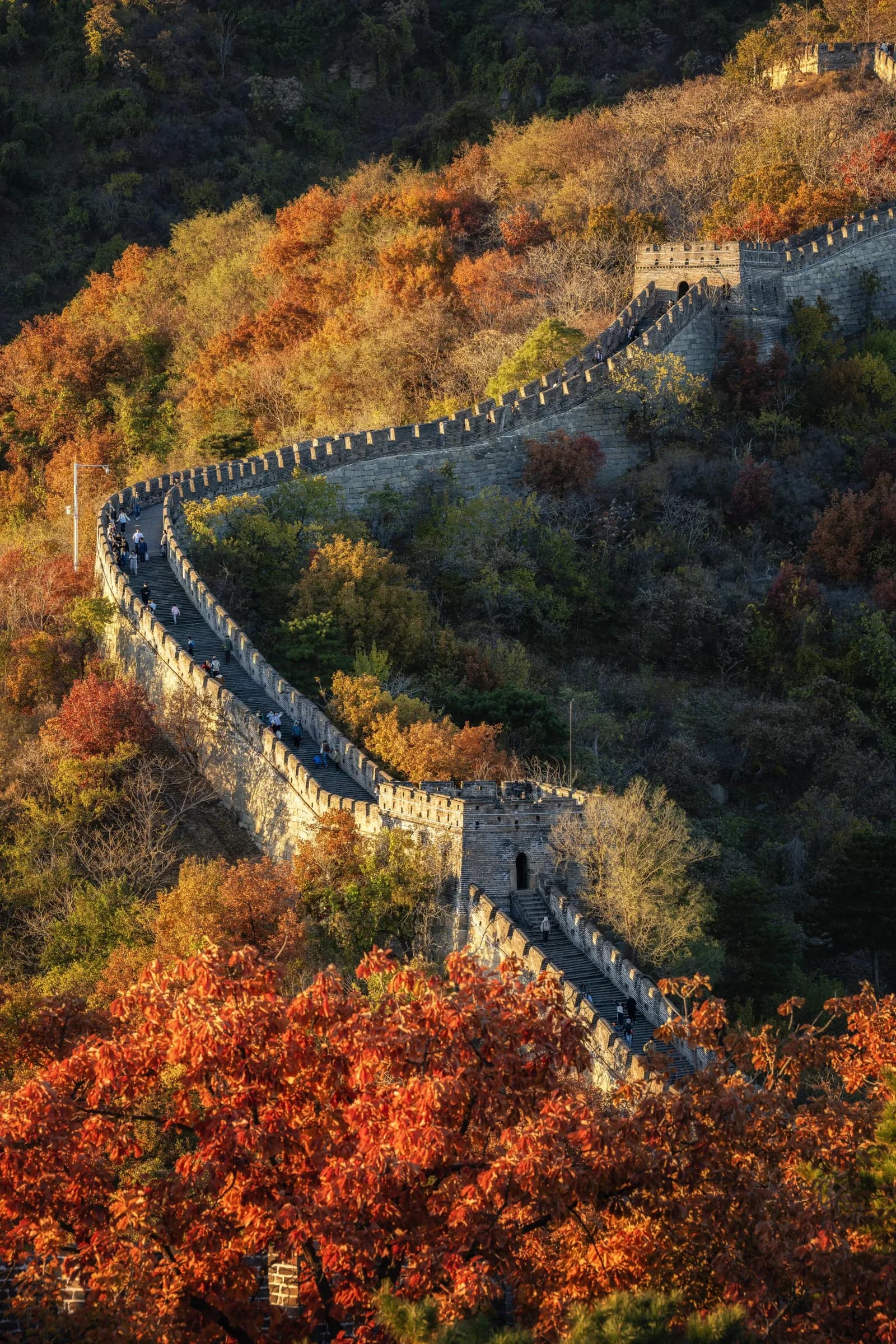 The Mutianyu section of the Great Wall winding through Beijing's autumn mountains