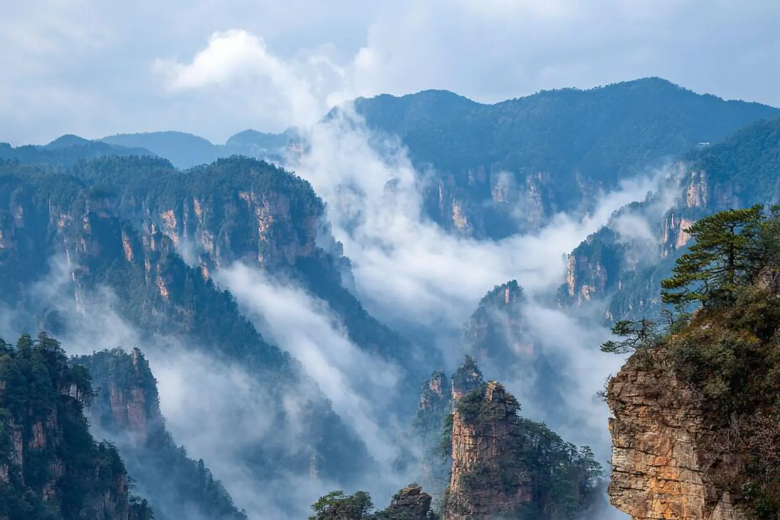 Zhangjiajie's sandstone pillars in mountain mist