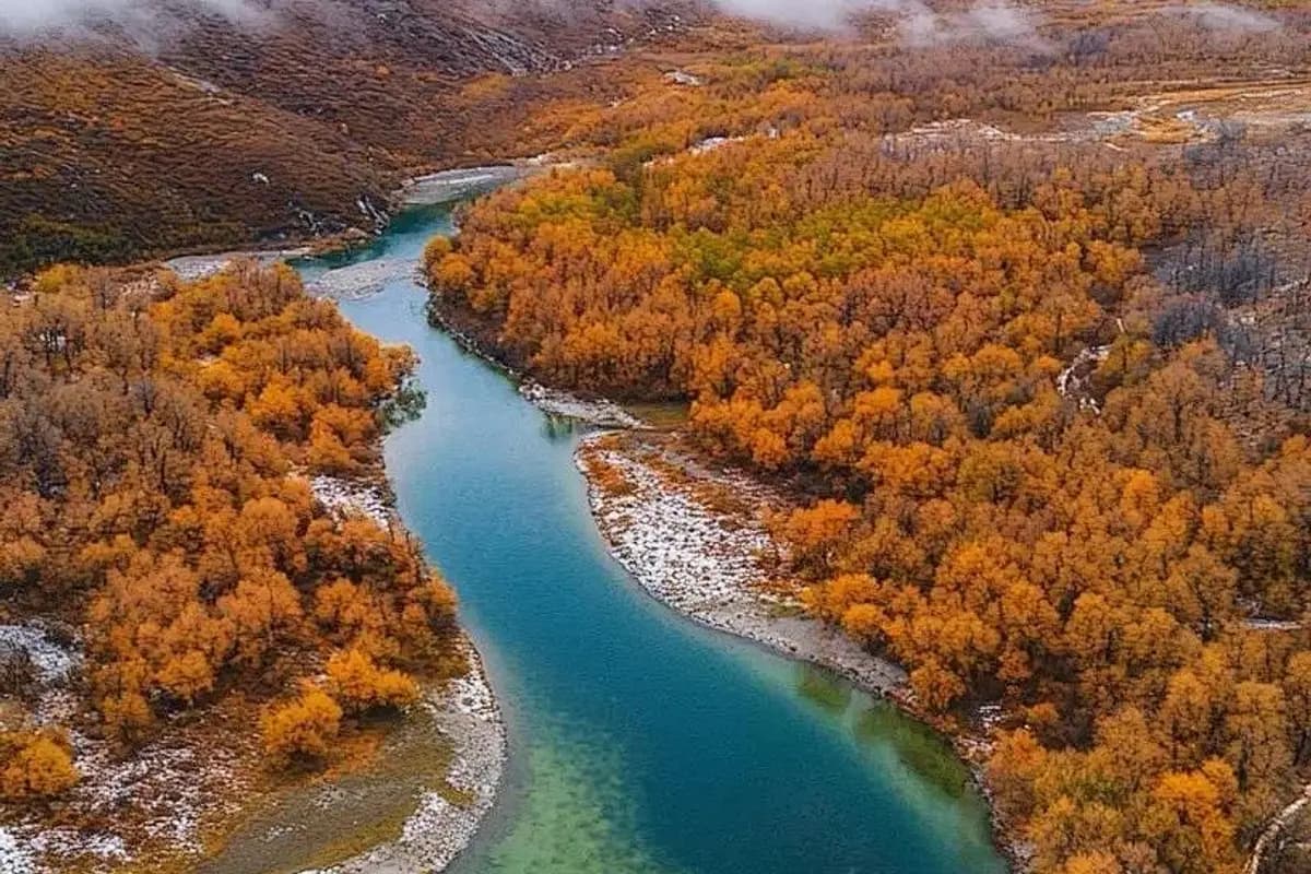 A forest-framed lake in Jiuzhaigou National Park