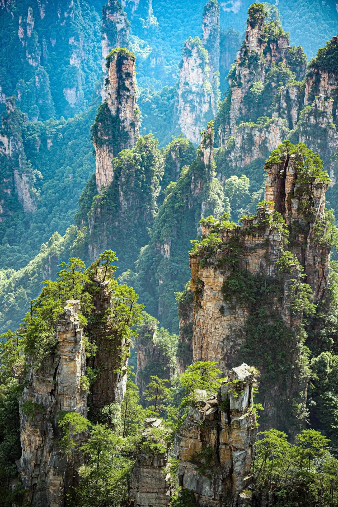 Quartz-sandstone pillars rising above the forest in Zhangjiajie
