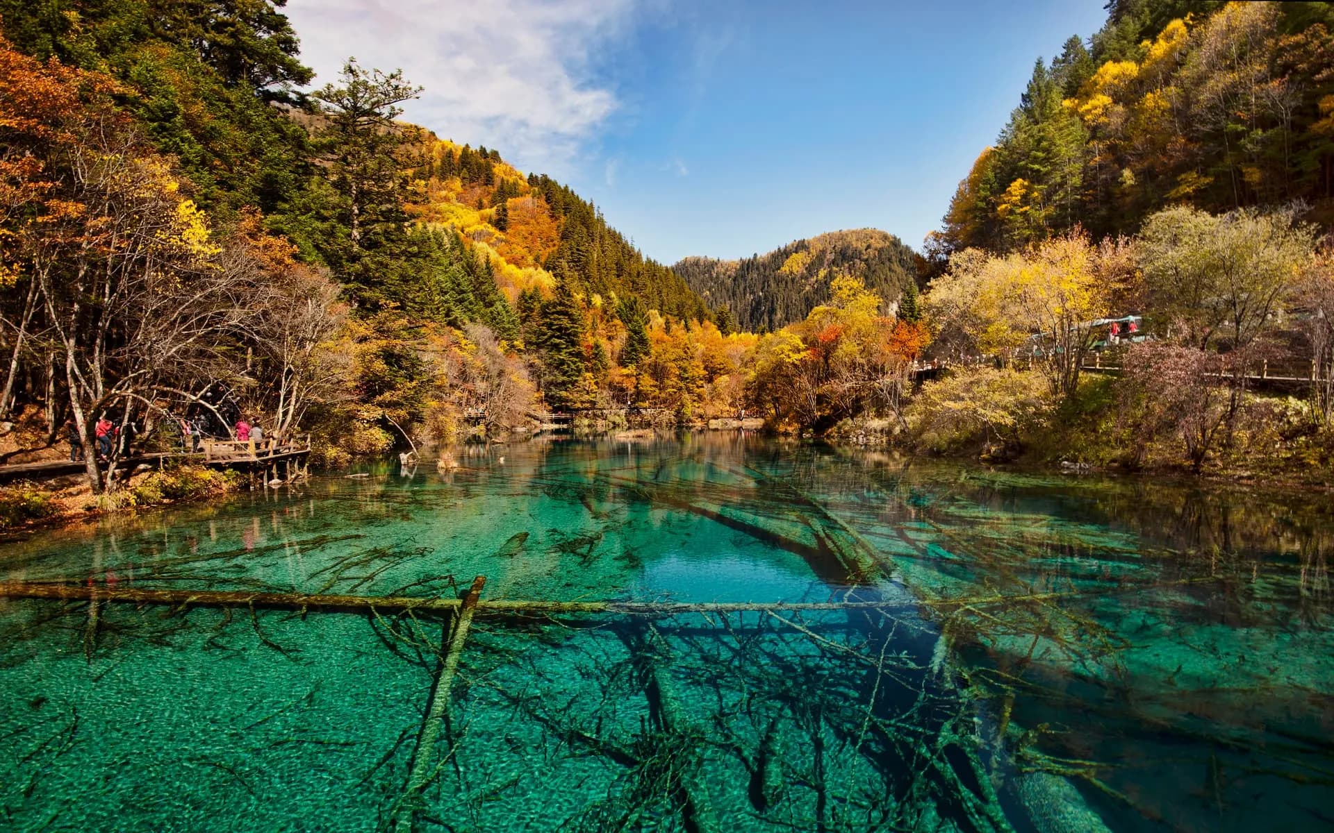 Turquoise Five Flower Lake in Jiuzhaigou