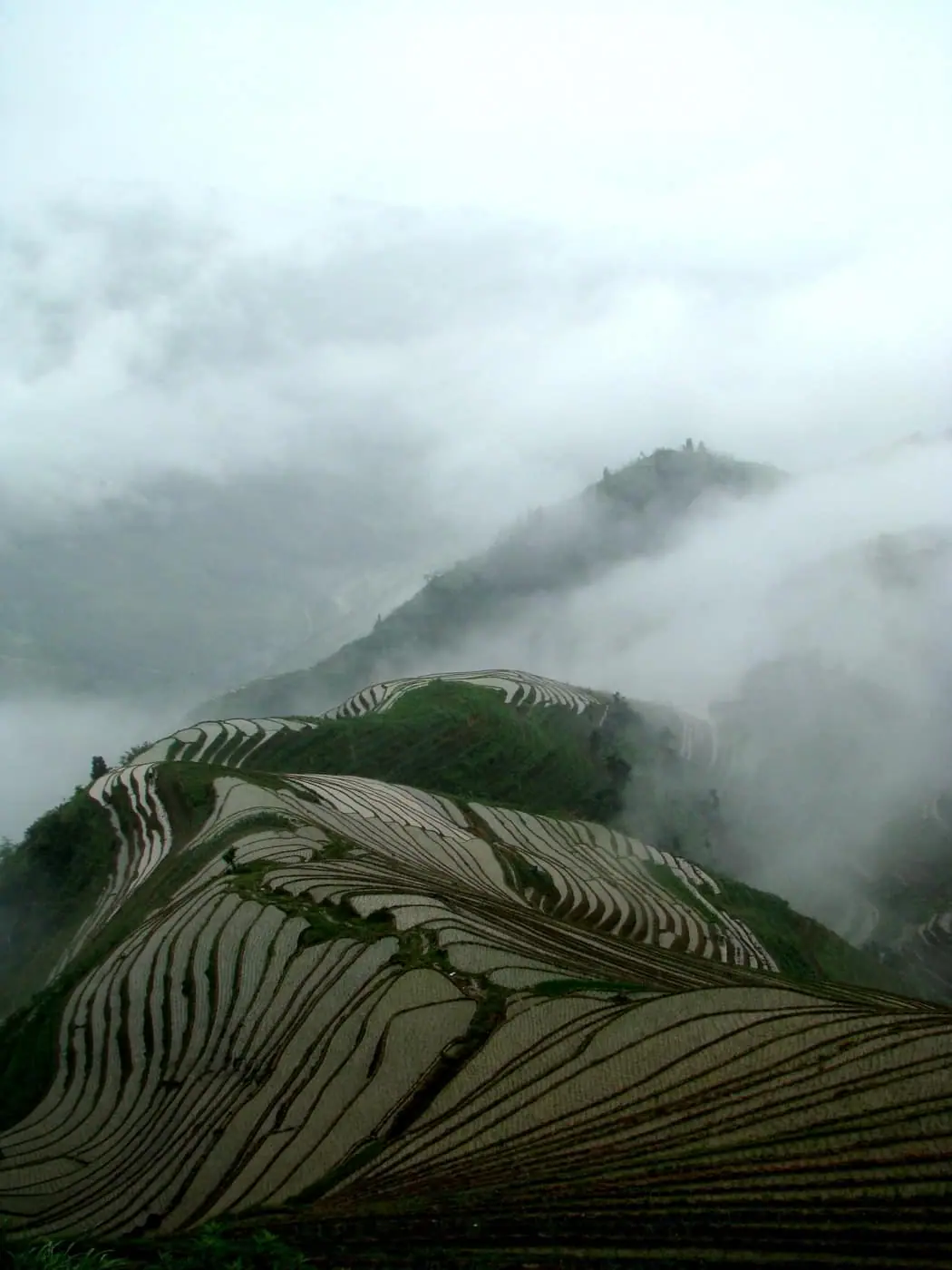 Longji rice terraces in Guangxi mountain scenery