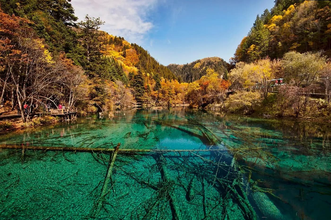 Jiuzhaigou valley lakes and forest in bright color