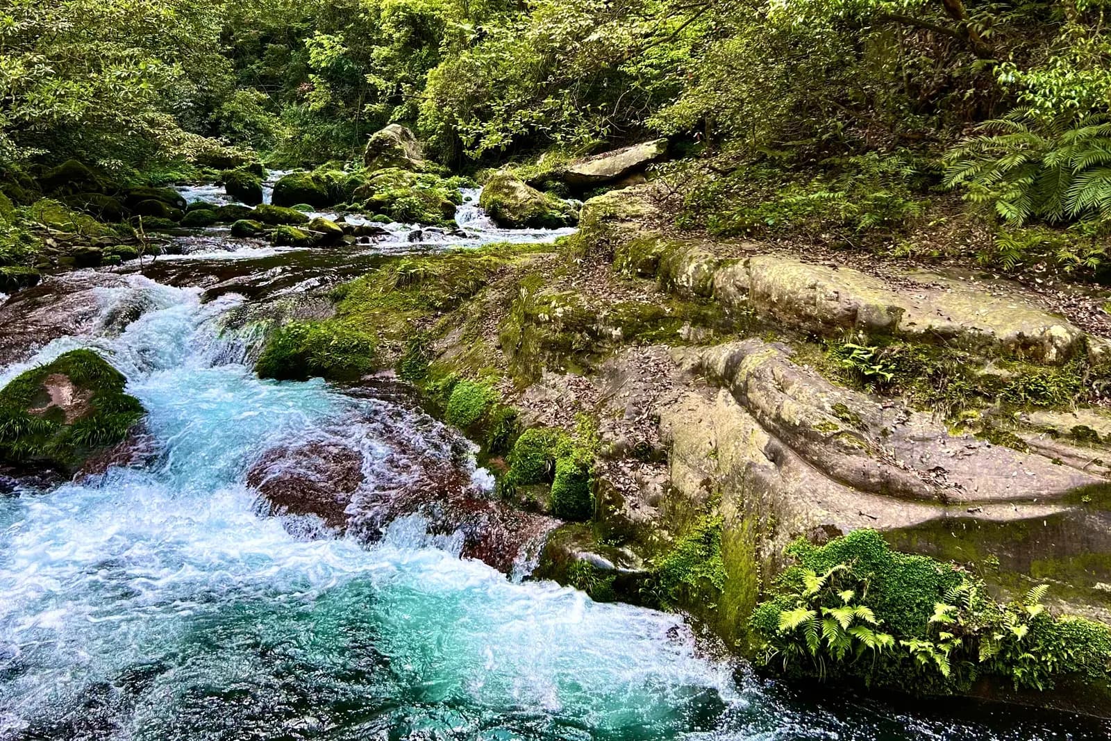 Golden Whip Stream beneath Zhangjiajie's cliffs