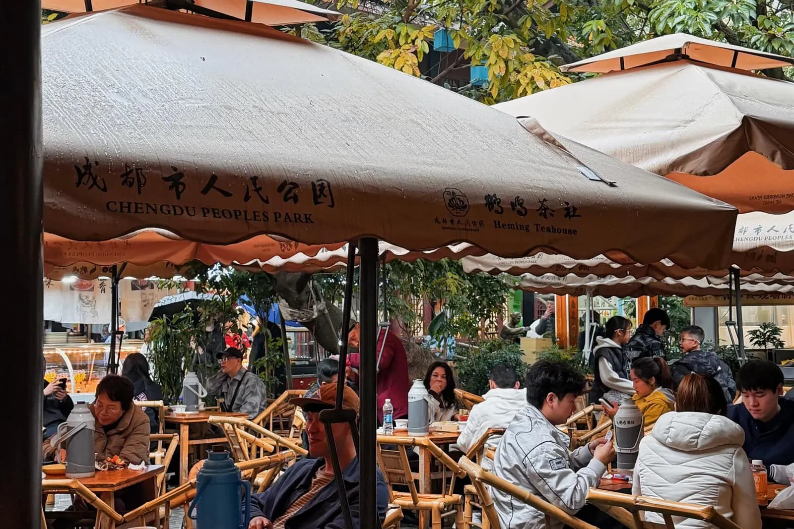 Traditional covered tea bowl in a Chengdu tea house