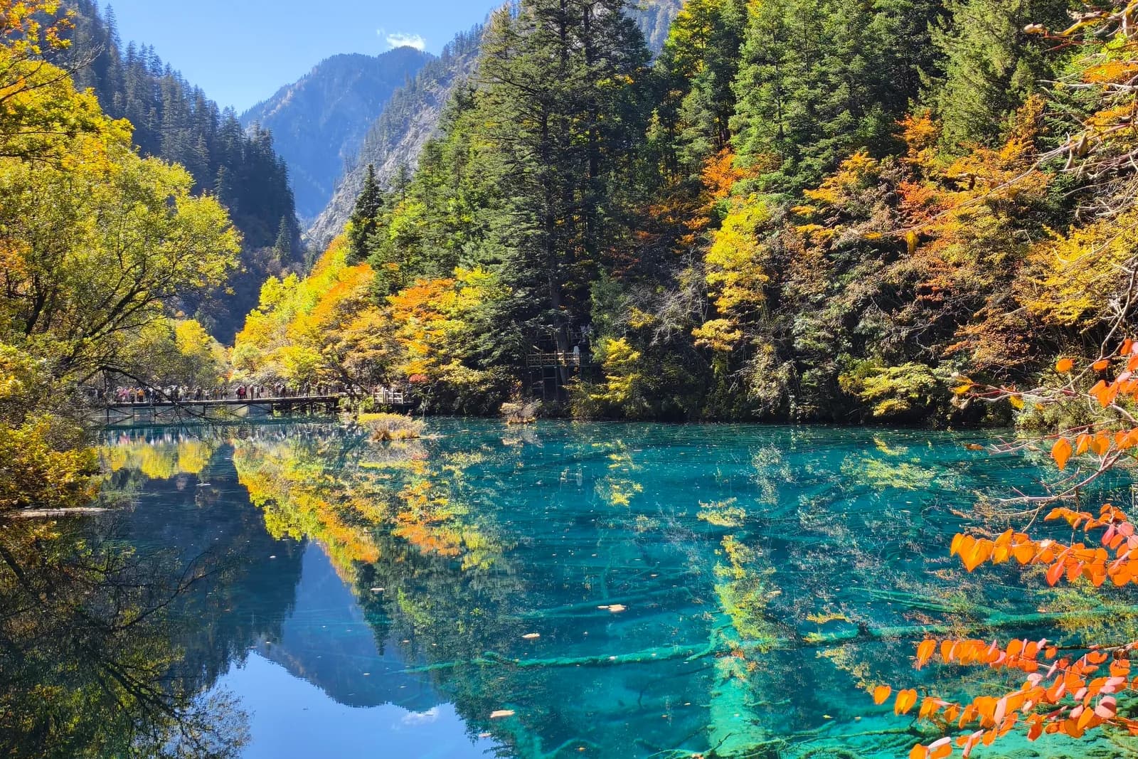 Autumn forest and a turquoise lake in Jiuzhaigou National Park