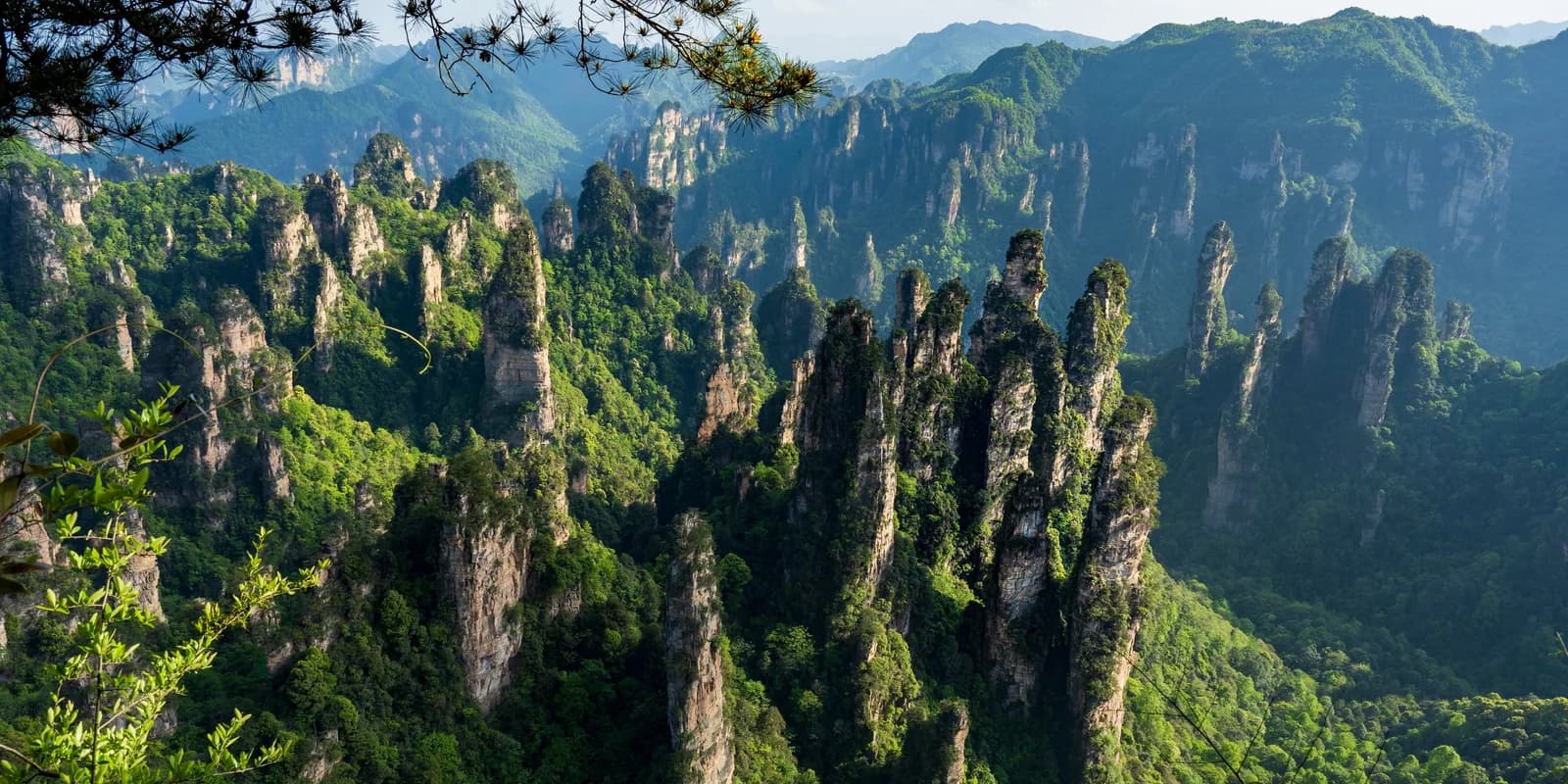 Sunlit sandstone peaks and forested valleys in Zhangjiajie